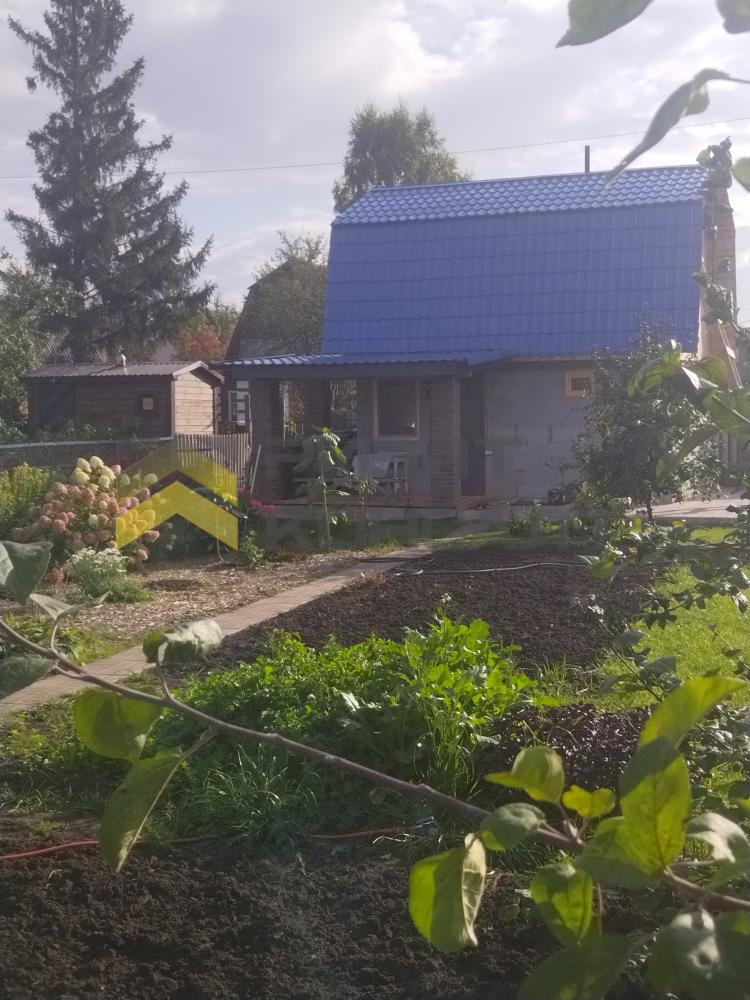 Дача, 48м², 8 соток, 2 этажа, 3 комн., стены: Газоблоки миниатюра 7