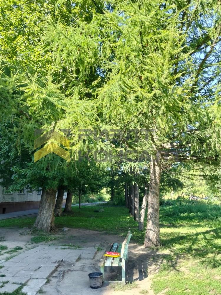 1-комн. квартира, Вторичка, 29.70м², 8/9 этаж миниатюра 22