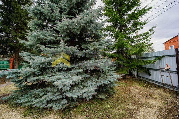 Дом, 227м², 12.53 соток, 2 этажа, 5 комн., стены: Кирпич миниатюра 32