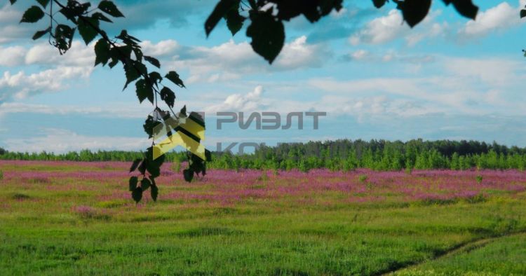 Земельный участок, 10.50 соток миниатюра 2