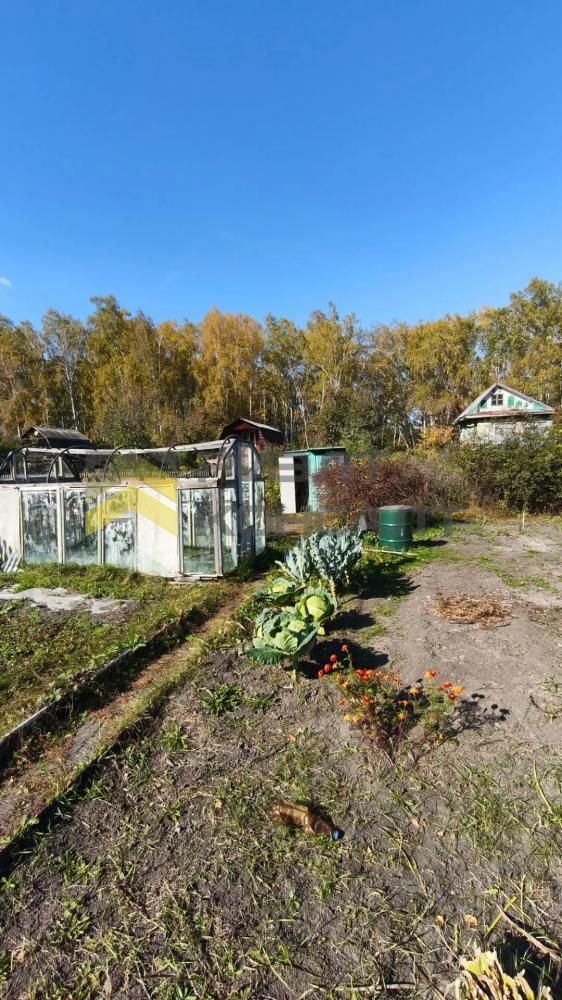 Дача, 32м², 5.50 соток, 2 этажа, 2 комн., стены: Кирпич миниатюра 20