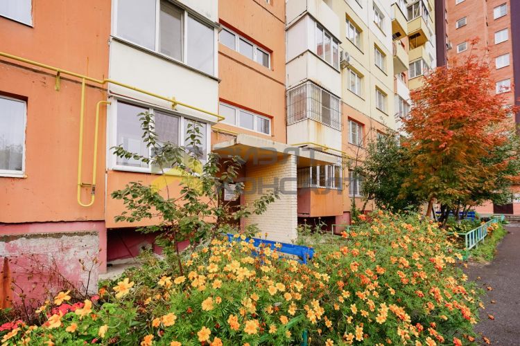 2-комн. квартира, Вторичка, 52.50м², 10/10 этаж миниатюра 35